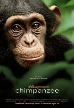 Шимпанзе дивитися українською онлайн HD якість