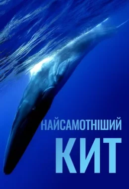 Найсамотніший кит дивитися українською онлайн HD якість
