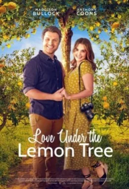 Кохання під лимонним деревом дивитися українською онлайн HD якість