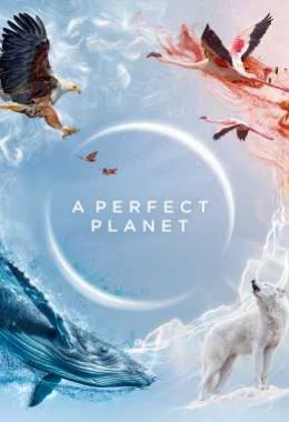 Досконала планета / Ідеальна планета дивитися українською онлайн HD якість