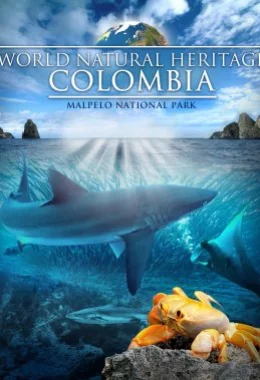 Всесвітня природна спадщина. Колумбія: Природний заповідник Малпело дивитися українською онлайн HD якість