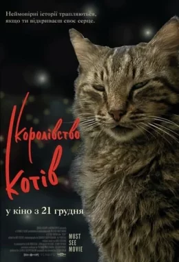 Королівство котів дивитися українською онлайн HD якість