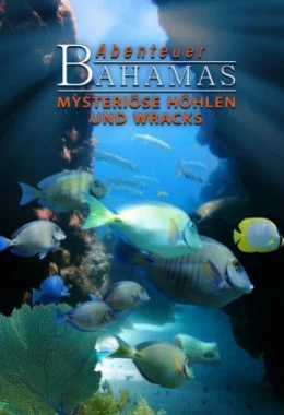 Багамські острови: Таємничі печери і затонулі кораблі дивитися українською онлайн HD якість