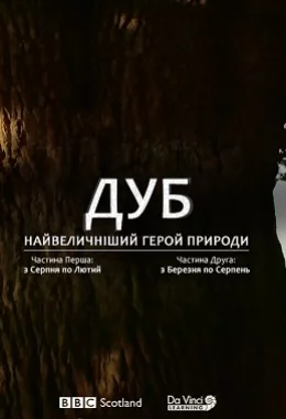Дуб. Найвеличніший герой природи дивитися українською онлайн HD якість