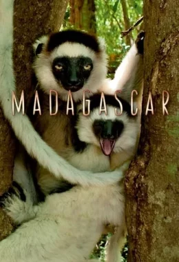 Мадаґаскар / Мадагаскар дивитися українською онлайн HD якість