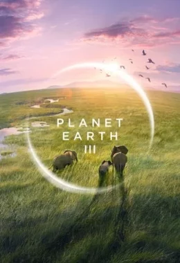 Планета Земля 3 дивитися українською онлайн HD якість